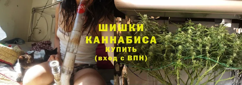 Бошки марихуана Ganja  darknet телеграм  Бирюсинск  купить закладку 